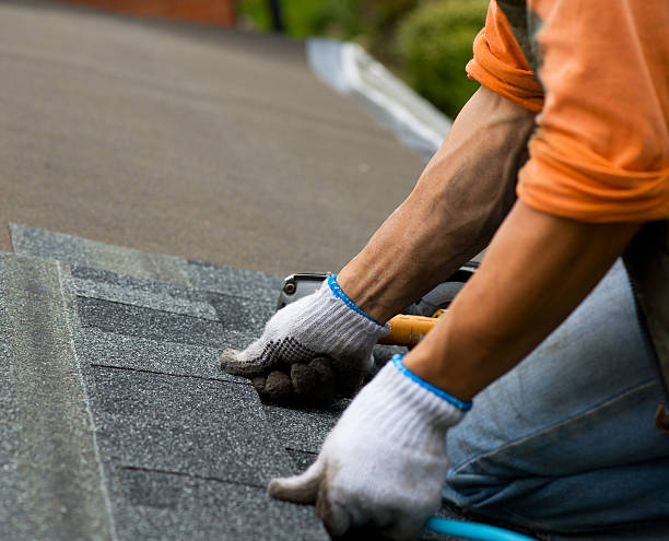 Best Flat Roof Repair Services  in Frankfort, IN