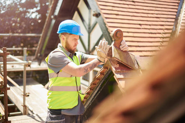 Best Roof Gutter Cleaning  in Frankfort, IN